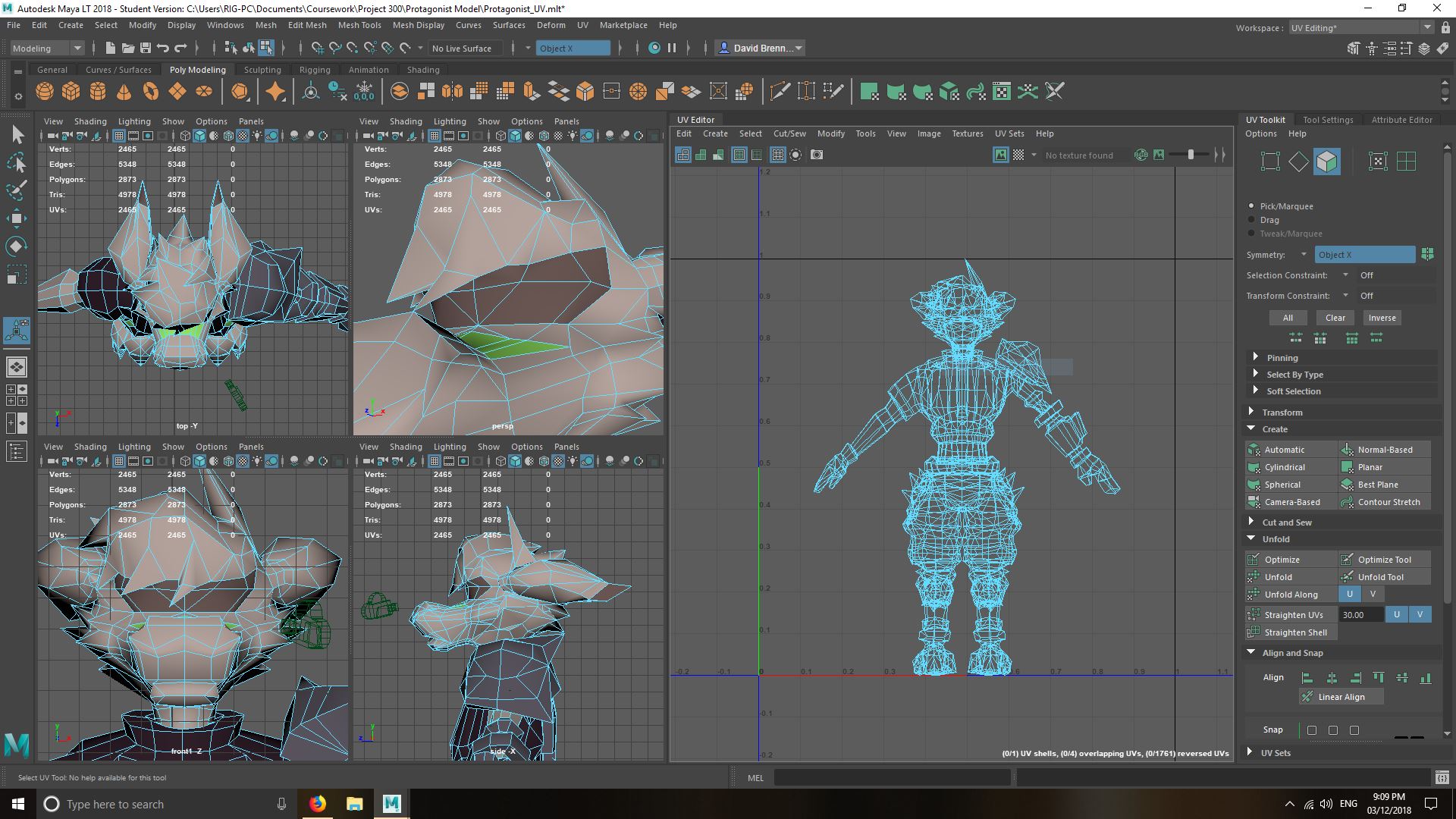 Protagonist UV Mapping